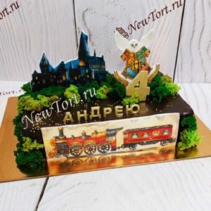 Торт Гарри Поттер "Тайны мира волшебников" с фигурками и шоколадом ТД360