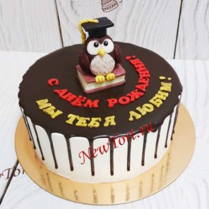 Торт "Умная сова" с  фигуркой и потеками ТД582