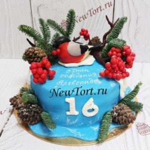 Торт "Снегирь" с фигуркой птицы, шишками и веточками ТД696
