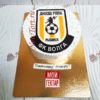 Торт "Футбольный" с логотипом и фотопечатью ТМ353
