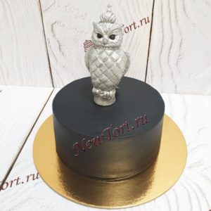 Торт "Мудрая сова" черный с серебряной фигуркой ТЖ550