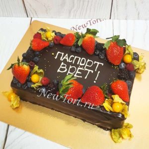 Торт "Паспорт врет" прямоугольный с шоколадом и ягодами ТЖ565