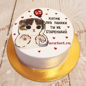 Торт "Котик без паники" с надписью ТК38